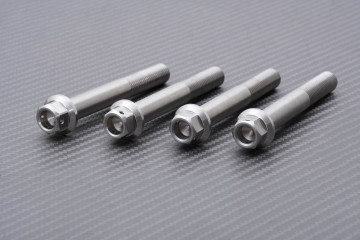 Schrauben und Muttern für Radialbremssättel aus Titan / Edelstahl für KAWASAKI M10 X P1.25 X 75 MM