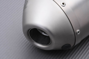 Terminale / Scarico Akrapovic Slip-On Titanio HONDA TRX 450 R 2004 - 2014