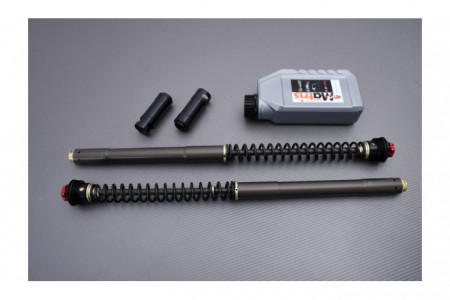 Kit horquilla de alto rendimiento MATRIS F12R KAWASAKI ZX10R 2006 - 2007 REF : F05.K105R