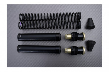 Kit horquilla de alto rendimiento MATRIS FKE KAWASAKI ER6 N / F 2005 - 2011 REF : F05.K106KE