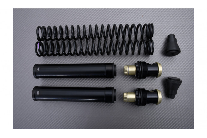 Kit horquilla de alto rendimiento MATRIS FKE KAWASAKI ER6 N / F 2005 - 2011 REF : F05.K106KE