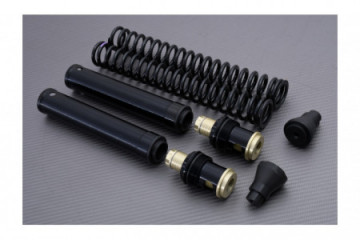 Kit horquilla de alto rendimiento MATRIS FKE KAWASAKI ER6 N / F 2005 - 2011 REF : F05.K106KE