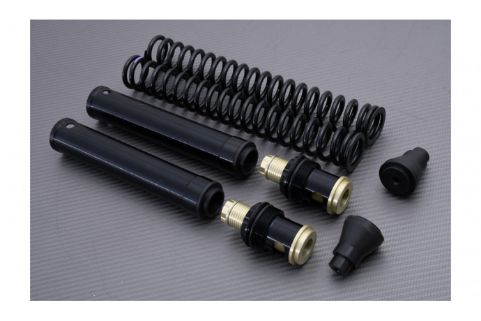 Kit horquilla de alto rendimiento MATRIS FKE KAWASAKI ER6 N / F 2005 - 2011 REF : F05.K106KE