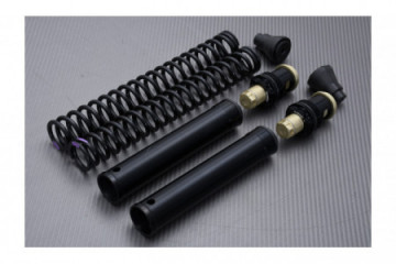 Kit horquilla de alto rendimiento MATRIS FKE KAWASAKI ER6 N / F 2005 - 2011 REF : F05.K106KE