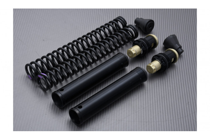 Kit horquilla de alto rendimiento MATRIS FKE KAWASAKI ER6 N / F 2005 - 2011 REF : F05.K106KE