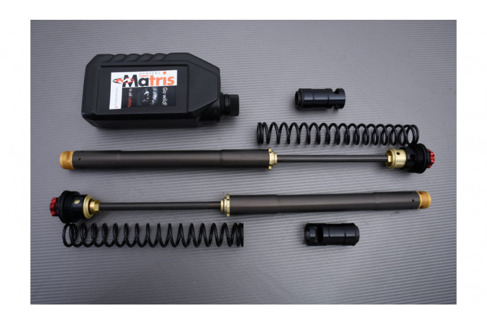 Kit horquilla de alto rendimiento MATRIS F12R DUCATI SBK 1098 / 1198 S Fouche OHLINS 2007 - 2008 REF : F12.D103R Kit horquilla de alto rendimiento MATRIS F12R DUCATI SBK 1098 / 1198 S Fouche OHLINS 2007 - 2008 REF : F12.D103R