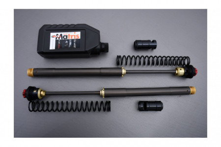Kit horquilla de alto rendimiento MATRIS F12R DUCATI SBK 1098 / 1198 S Fouche OHLINS 2007 - 2008 REF : F12.D103R