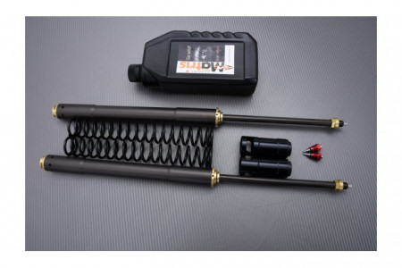 Kit horquilla de alto rendimiento MATRIS F12R YAMAHA YZF R1 2004 - 2006 REF : F12.Y101R