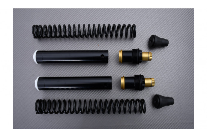 Kit horquilla de alto rendimiento MATRIS FKE KAWASAKI Z750 / S 2004 - 2007 REF : FK103KE