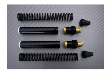 Kit fourche Performance MATRIS FKE KAWASAKI Z750 / S 2004 - 2007 REF : FK103KE
