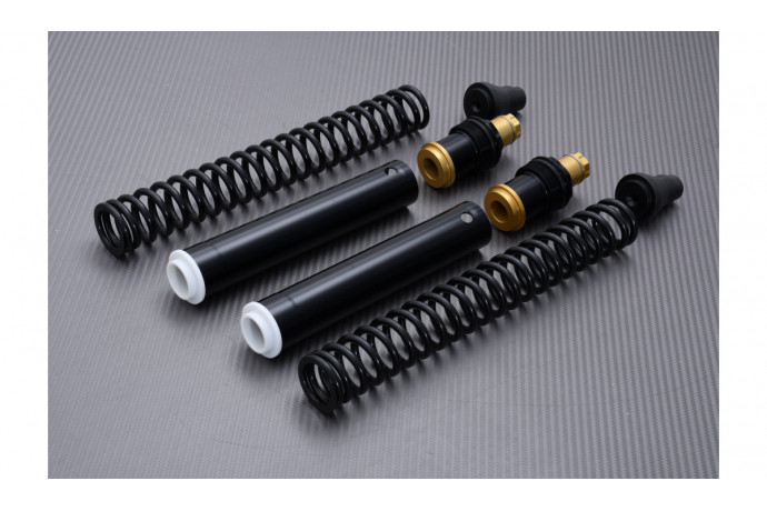 Kit horquilla de alto rendimiento MATRIS FKE KAWASAKI Z750 / S 2004 - 2007 REF : FK103KE