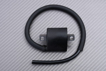 Bobina de encendido F006T53572 MITSUBISHI ELECTRIC para SUZUKI / YAMAHA / KAWASAKI / BETA