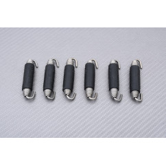 Komplette Auspuffanlage AKRAPOVIC RACING KAWASAKI ZX6R / 636 1998 - 2002