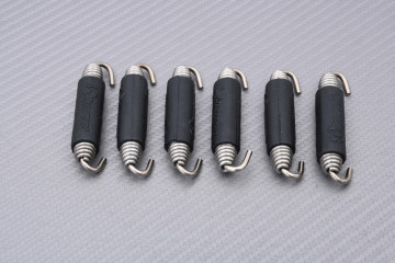 Ligne complète d'échappement AKRAPOVIC SUPER SPORT SUZUKI SV 650 S 1999 - 2002