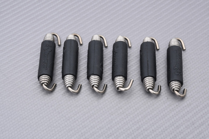 Ligne complète d'échappement AKRAPOVIC SUPER SPORT SUZUKI SV 650 S 1999 - 2002