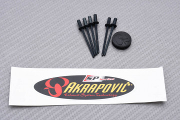 Auspuffendstück AKRAPOVIC in Carbon KAWASAKI ZX6R 2005 - 2006 REF : V-EC17