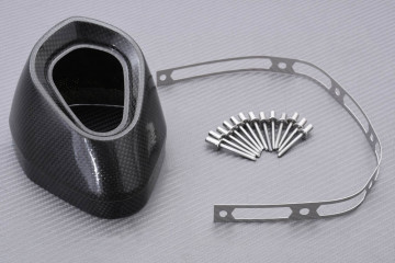 AKRAPOVIC Carbon Exhaust Tip REF : V-EC75