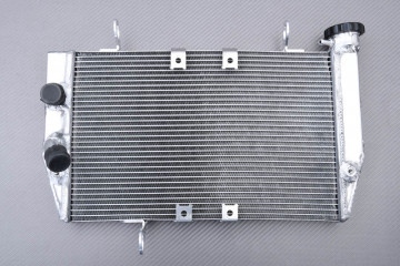 Radiador DUCATI MULTISTRADA V2 / V2S 937 2022 - 2024
