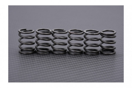 Kit Ressorts D'embrayage EBC KAWASAKI ER6 / Z650 / Z750 / Z900 / Z1000 / VULCAN 800 / 900 1973 - 2014 Ref: CSK10