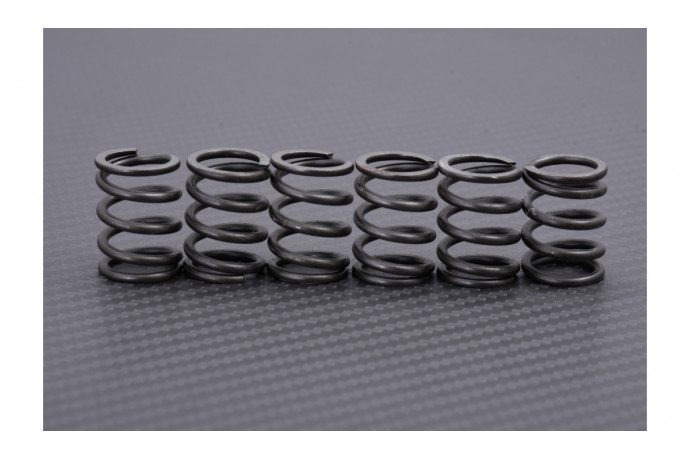 Kit Ressorts D'embrayage EBC SUZUKI GSXR / DR / VS 600 / 650 / 750 / 800 / GV 1200 / 1400 1985 - 2000 Ref: CSK115 Kit Ressorts D'embrayage EBC SUZUKI GSXR / DR / VS 600 / 650 / 750 / 800 / GV 1200 / 1400 1985 - 2000 Ref: CSK115