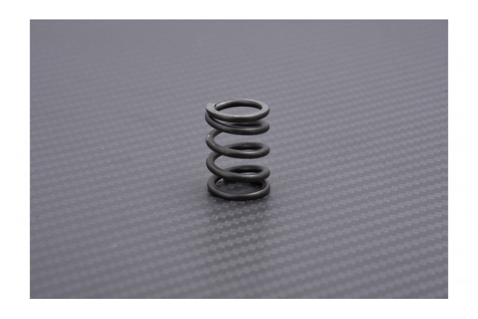 spring for reinforced clutch EBC YAMAHA YZF R6  / YZ / YFZ 250 / 426 / 450 / TDM 850 1999 - 2020 Ref: CSK92