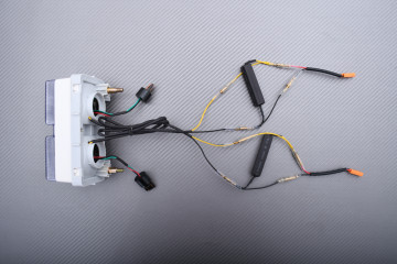 LED-Rücklicht "Plug & Play" mit integrierten Blinkern HONDA VTR 1000 SP1 / SP2 1999 - 2006 LED-Rücklicht "Plug & Play" mit integrierten Blinkern HONDA VTR 1000 SP1 / SP2 1999 - 2006