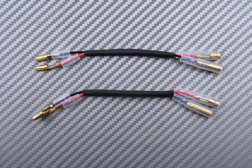Feu Arrière à LED "Plug & Play" avec clignotants intégrés YAMAHA YZF R6 / XJR 1300 2001 - 2014