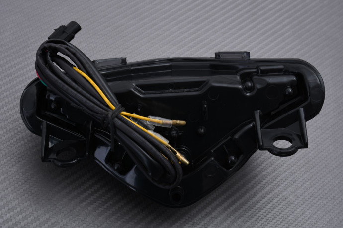 Piloto trasero LED "Plug & Play" con intermitentes integrados KAWASAKI ER6 N / F 2012 - 2017 Piloto trasero LED "Plug & Play" con intermitentes integrados KAWASAKI ER6 N / F 2012 - 2017