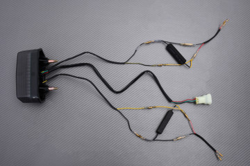 LED-Rücklicht "Plug & Play" mit integrierten Blinkern HONDA MSX 125 GROM 2014 - 2023 LED-Rücklicht "Plug & Play" mit integrierten Blinkern HONDA MSX 125 GROM 2014 - 2023