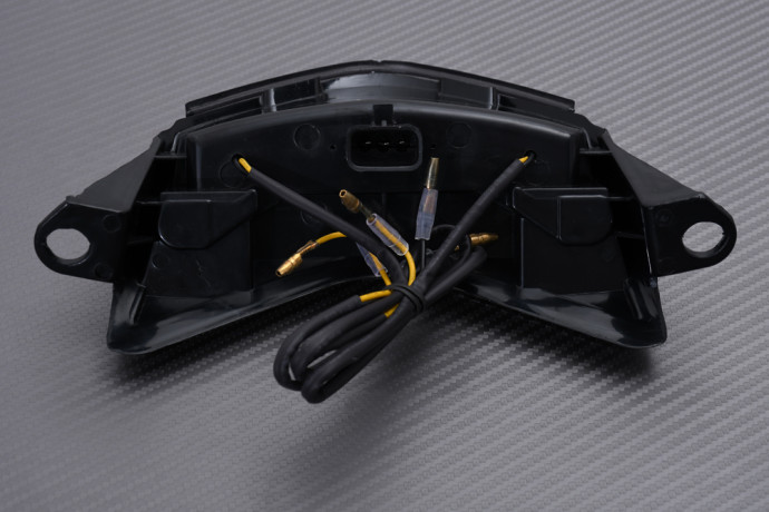 LED-Rücklicht "Plug & Play" mit integrierten Blinkern KAWASAKI ZX6R / Z750S 2005 - 2007