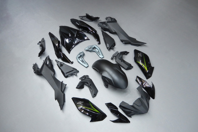 Carenado completo KAWASAKI Z650 2017 - 2019 Carenado completo KAWASAKI Z650 2017 - 2019