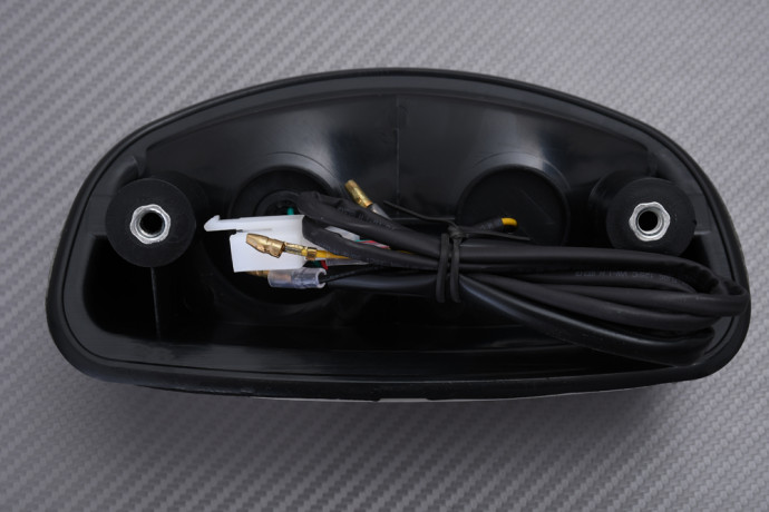 Feu Arrière à LED "Plug & Play" avec clignotants intégrés HONDA HORNET 250 / 600 / CBR 1100 XX 1997 - 2007