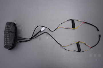 Fanale posteriore a LED "Plug & Play" con indicatori di direzioni integrati SUZUKI GSE 500 2001 - 2002 Fanale posteriore a LED "Plug & Play" con indicatori di direzioni integrati SUZUKI GSE 500 2001 - 2002