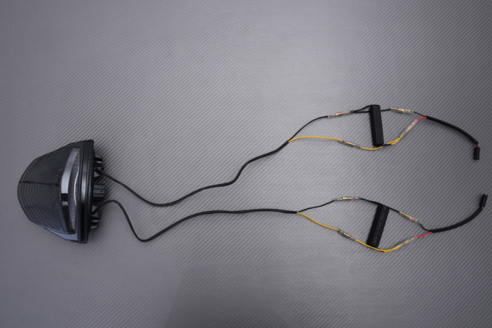 Feu Arrière à LED "Plug & Play" avec clignotants intégrés SUZUKI GSR 750 2011 - 2016 Feu Arrière à LED "Plug & Play" avec clignotants intégrés SUZUKI GSR 750 2011 - 2016