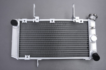 Radiatore SUZUKI VSTROM DL 1000 2002 - 2013