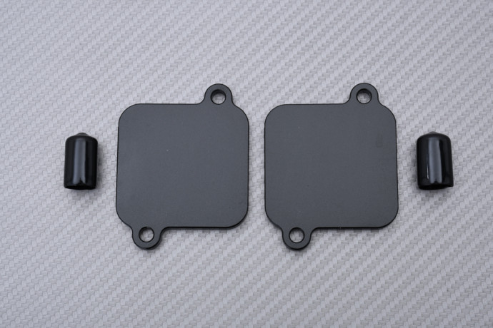 Kit de suppression antipollution / Système PAIR DUCATI STREETFIGHTER / PANIGALE V4 / S / R / SP 2018 - 2024 Kit de suppression antipollution / Système PAIR DUCATI STREETFIGHTER / PANIGALE V4 / S / R / SP 2018 - 2024