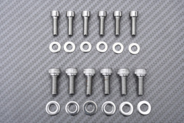 Smog block off plates APRILIA RSV4 / TUONO V4 1000 / 1100 2009 - 2024 Smog block off plates APRILIA RSV4 / TUONO V4 1000 / 1100 2009 - 2024