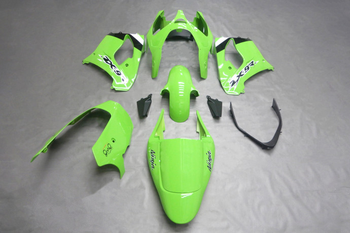 Carenado completo KAWASAKI ZX9R 2002 - 2003