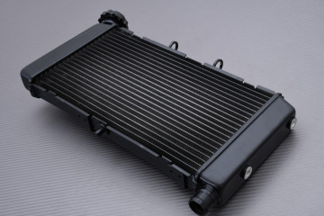 Radiateur HONDA CTX 700 / N / DCT 2014 - 2017 Radiateur HONDA CTX 700 / N / DCT 2014 - 2017