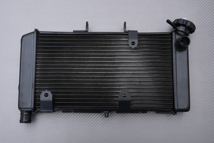 Radiateur HONDA CTX 700 / N / DCT 2014 - 2017 Radiateur HONDA CTX 700 / N / DCT 2014 - 2017