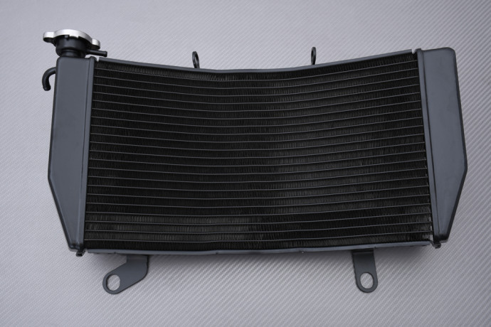 Radiator HONDA PAN EUROPEAN ST 1300 2002 - 2017 Radiator HONDA PAN EUROPEAN ST 1300 2002 - 2017