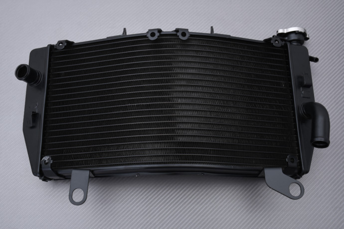 Radiator HONDA PAN EUROPEAN ST 1300 2002 - 2017 Radiator HONDA PAN EUROPEAN ST 1300 2002 - 2017
