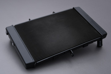 Radiator HONDA CB1000R 2021 - 2023