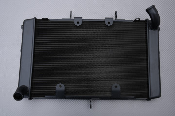 Radiador HONDA CB1000R 2021 - 2023 Radiador HONDA CB1000R 2021 - 2023