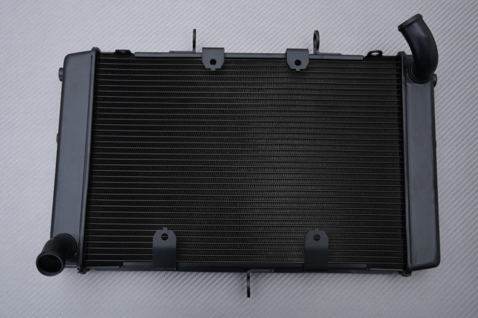 Radiador HONDA CB1000R 2021 - 2023 Radiador HONDA CB1000R 2021 - 2023