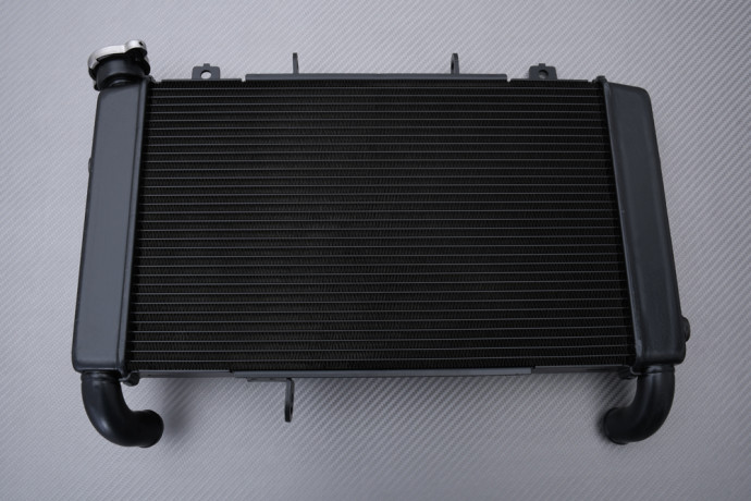 Radiator HONDA CBR 650 R 2019 - 2024 Radiator HONDA CBR 650 R 2019 - 2024