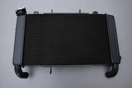 Radiador HONDA CBR 650 R 2019 - 2024