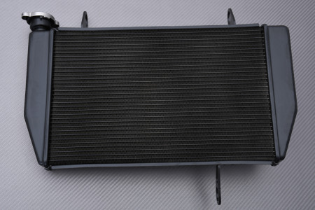 Radiador DUCATI MULTISTRADA / MTS 1200 2010 - 2014