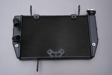 Radiador DUCATI MULTISTRADA / MTS 1200 2010 - 2014 Radiador DUCATI MULTISTRADA / MTS 1200 2010 - 2014