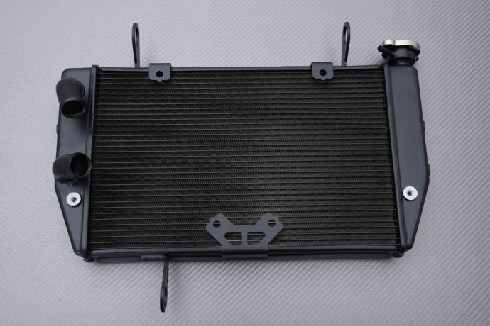 Radiador DUCATI MULTISTRADA / MTS 1200 2010 - 2014 Radiador DUCATI MULTISTRADA / MTS 1200 2010 - 2014